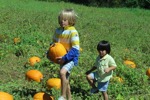 resIMG_20141004_130814_3392.JPG